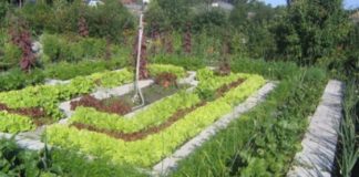 Подготовка гряд для овощных культур