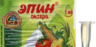 Эпин